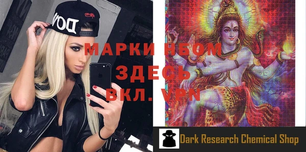 молекула духа Арсеньев