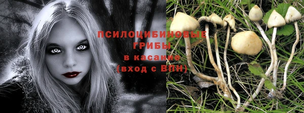 винт Армянск