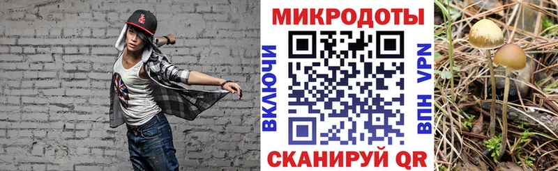 Галлюциногенные грибы прущие грибы  Воркута 