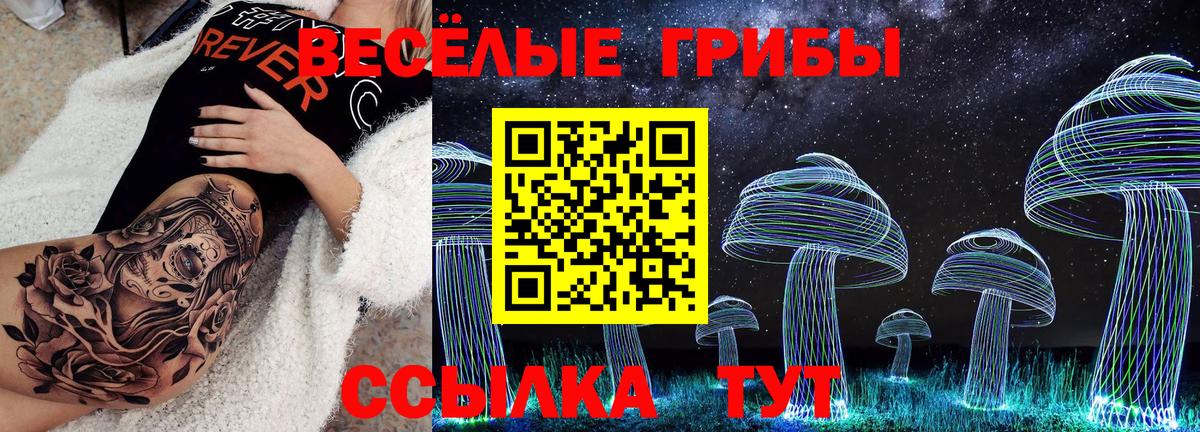 Галлюциногенные грибы Psilocybe  Воркута 