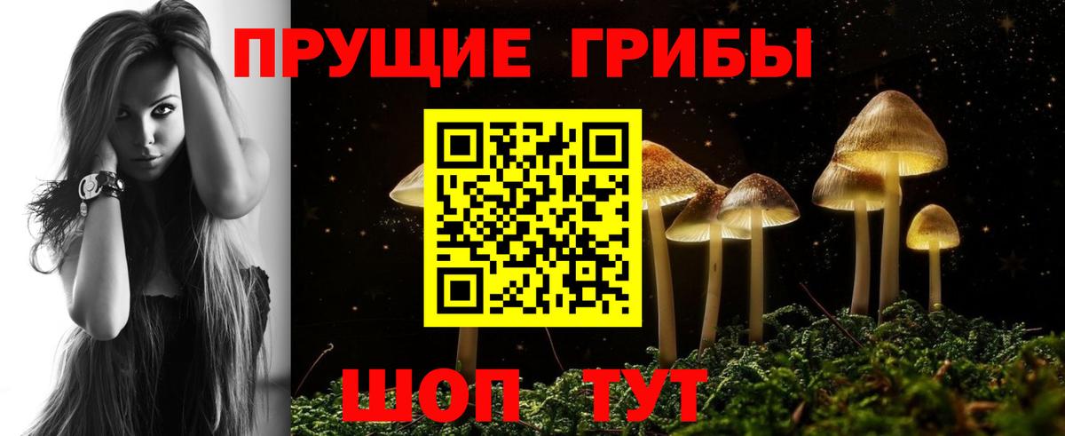 Псилоцибиновые грибы мицелий  Вход с VPN  Воркута 