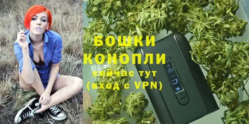 кракен   Воркута  Бошки марихуана THC 21% 